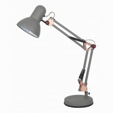 Arte Lamp Junior A1330LT-1GY