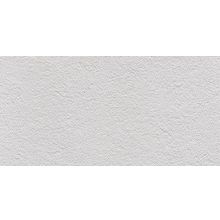 Imola Micron 2.0 Micron 2.0 M2.0 RB36W керамогранит универсальный 300 мм*600 мм