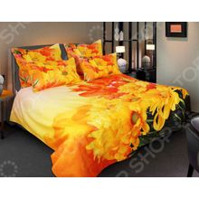 Buenas Noches Hrizantema. Satin Fotoprint