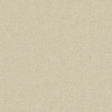 BN 220151 Обои BN (Panthera) (1*12) 10,05x0,53 винил на флизелине