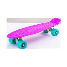 RIDEX Круизер пластиковый Disco, 22x6, Abec-7 Carbon