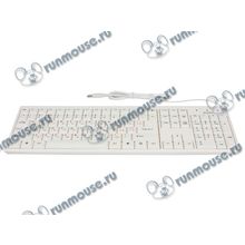 Клавиатура Sven "Standard 303", 104+2кн., белый (USB) (ret) [110845]