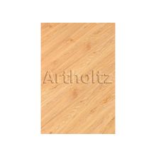  Коллекция Interior Дуб Адриатик 88025