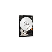 Western Digital WD Scorpio Blue [WD5000LPVX]