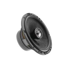 Focal 165 CA1