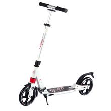 RIDEX Самокат 2-х колесный Absolute, 200 мм