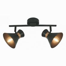 Arte Lamp Baltimore A1406AP-2BK