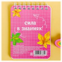 Набор К знаниям подарочный (2 карандаша + блокнот + 2 ластика)