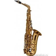 SELMER SELMER ALTO-REFERENCE-DGG DRAGON BIRD