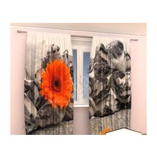 Фотошторы оранжевая гербера