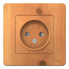 Розетка BLANCA, скрытый монтаж, со шторками, ясень |  код. BLNRS000115 |  Schneider Electric