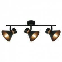 Arte Lamp Спот Arte Lamp Baltimore A1406PL-3BK ID - 414183