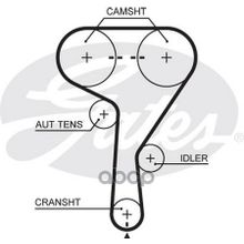 Ремень Грм 5603xs 146x24 Ремень Грм Gates Gates арт. 5603XS