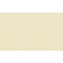 Обои арт. 954357 (10,05м*1,06м)"Rasch"