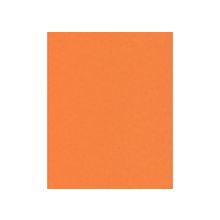 Tarkett (Таркетт) Omnisport Pro ширина 2,0 м