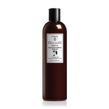 Шампунь мужской балансирующий с экстрактом лимона и имбиря Egomania RicHair MenS Pro 400мл