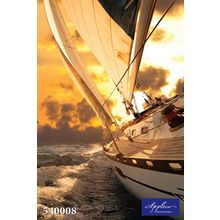 Фреска Applico 540008