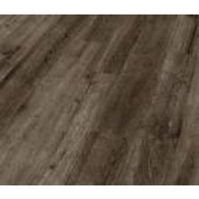 Тирольский дуб бронза