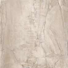 La Fabbrica Wild Lion Nat 60.5x60.5 см
