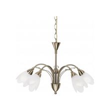 ARTE LAMP  Люстра Petal A4905LM-5AB