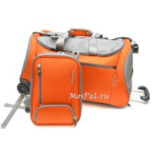 Сумка-тележка и рюкзак