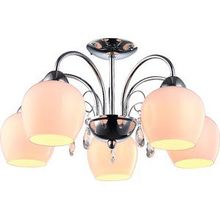 Arte Lamp A9548PL-5CC MILLO люстра потолочная (хрустальная)