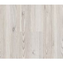 Серебристая Сосна