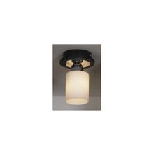 Lussole LSF-6107-01 Caprile точечный накладной светильник