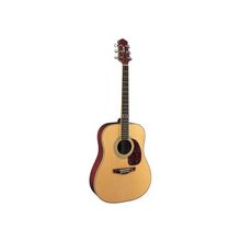 Акустическая гитара TERRIS DG303 N
