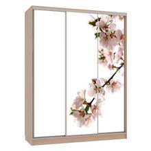 Mebelson Шкаф-купе Бассо 7-600 яблоня ID - 338799