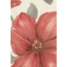 Обои виниловые Eurodecor Маки 1081-02