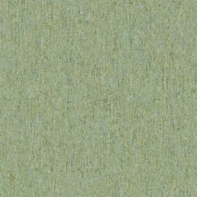 BN 220116 Обои BN (Panthera) (1*12) 10,05x0,53 винил на флизелине