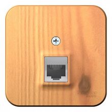 Розетка компьютерная 1xRJ45 Cat.5 BLANCA, ясень |  код. BLNIA045005 |  Schneider Electric