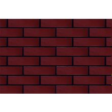 Фасадная термопанель ЭППС Burgund glatt