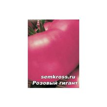 Томат Розовый гигант