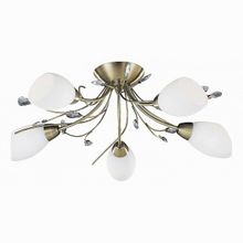 Arte Lamp Gardenia A2766PL-5AB