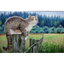 Картина маслом на холсте ❀ Кошка на заборе