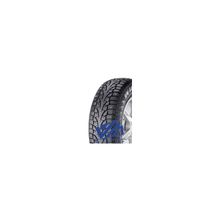 Pirelli Carving Edge  245 45R19 102T