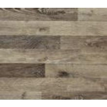 Дуб шоколад