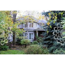 Новорижское, 1 км от МКАД, Строгино, Серебрянный Бор, коттедж, Площадь дома: 412 кв.м. Размер участка: 7 сот.