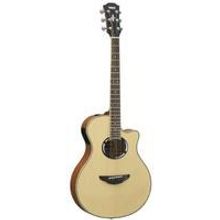 APX-500III NAT