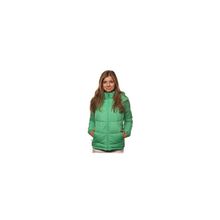 Куртка женская пуховик Roxy Doo Doo Spring Green
