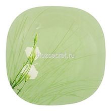 Столовый сервиз Luminarc CARINA SOFIANE GREEN 46 предметов 6 персон ОАЭ N5272