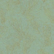 Marburg La Veneziana 4 31383 31383