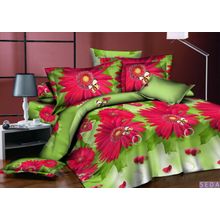 Постельное белье Поплин Евро SEDA PL25-3