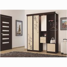 Арника Дина 1700