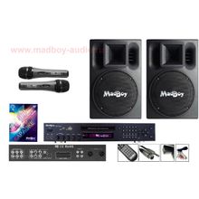 Madboy Домашний-4 комплект для караоке + 5 масок знаменитостей