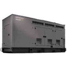 Generac CG 250