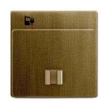 ABB Лицевая панель ABB Dynasty розетки USB латунь античная 2CKA006400A0036 ID - 88162