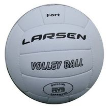 Мяч волейбольный Larsen Fort